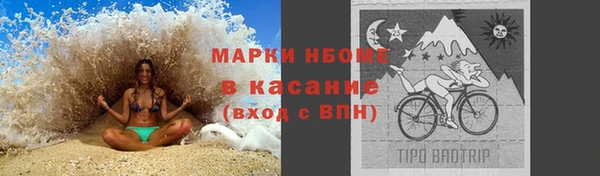 стаф Алзамай