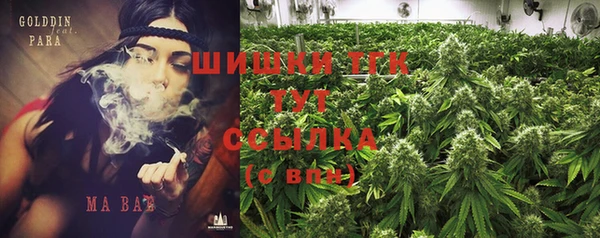 соль ск Абаза