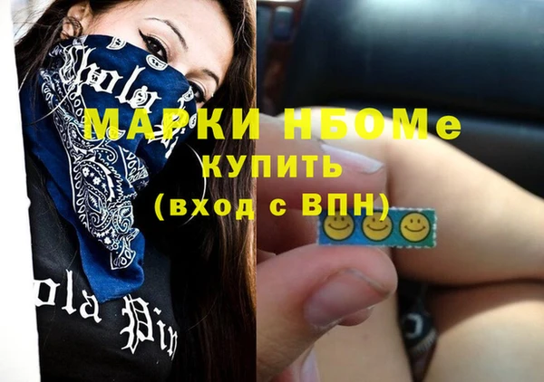 стаф Алзамай
