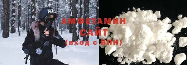 стаф Алзамай